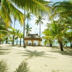 Stay at the Best of the Island  ,  Coco Grove Beach Resort !
