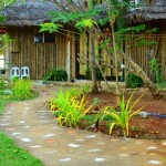 Backpacking in Siquijor ? Toris Backpackers Paradise is the ideal place to be with.