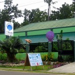 Marelle’s Seashell Museum