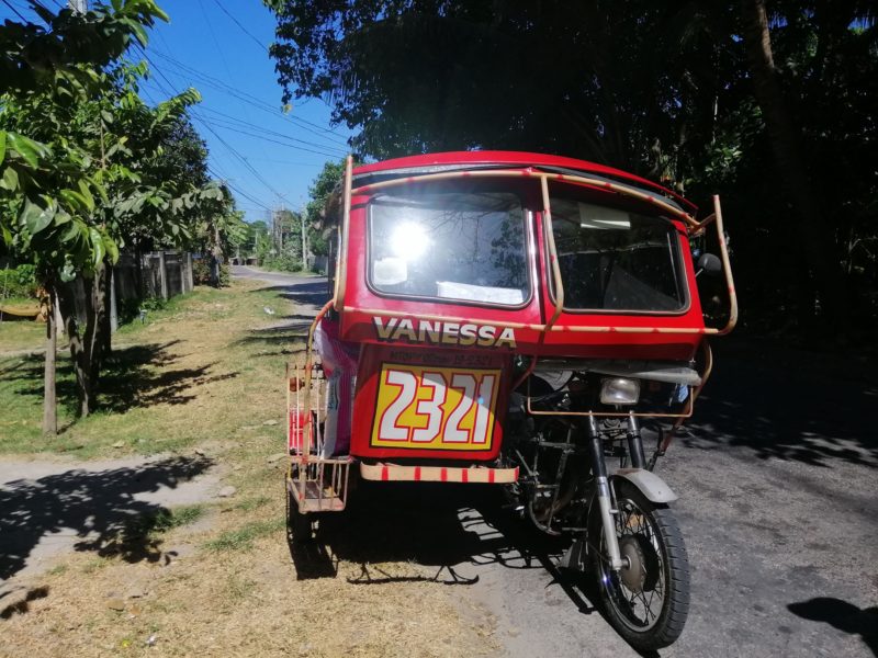 Vanessa Roving Tricycles
