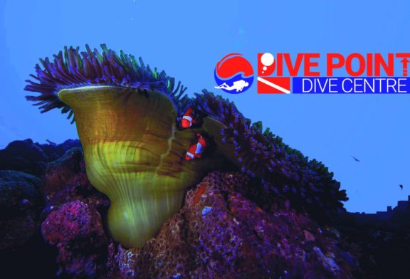 Siquijor , An Island Renowned For Its Variety of Macro Life, Healthy Reefs, Steep Deep Walls and Coral Gardens.