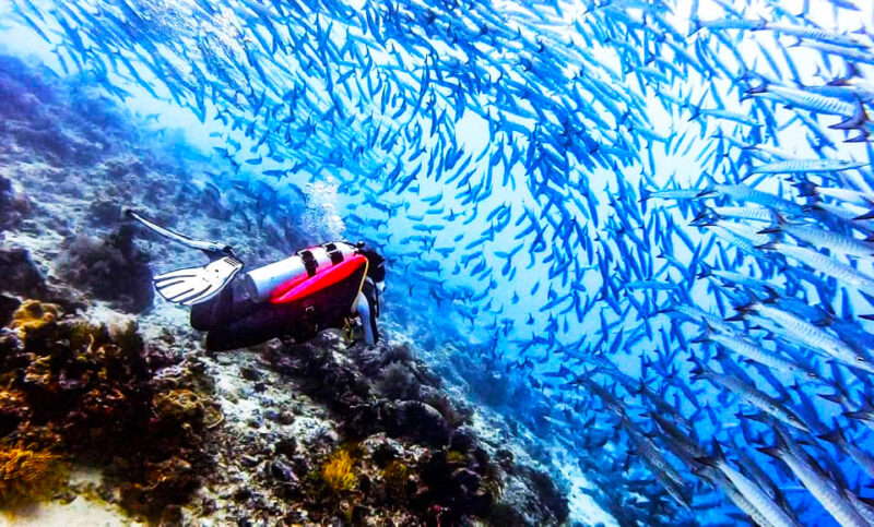 Tulapos Marine Sanctuary