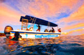 Siquijor Has Become One of the Best Diving Destinations in the Philippines, a Heaven for Divers