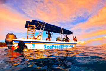 Siquijor Has Become One of the Best Diving Destinations in the Philippines, a Heaven for Divers